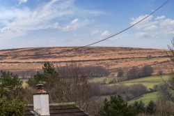 Images for Hawthorn Park, Lydford