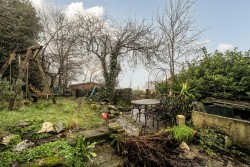 Images for Back Road, Calstock