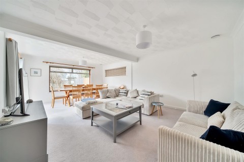 Click the photo for more details of Pityme, Rock