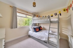 Images for Pityme, Rock