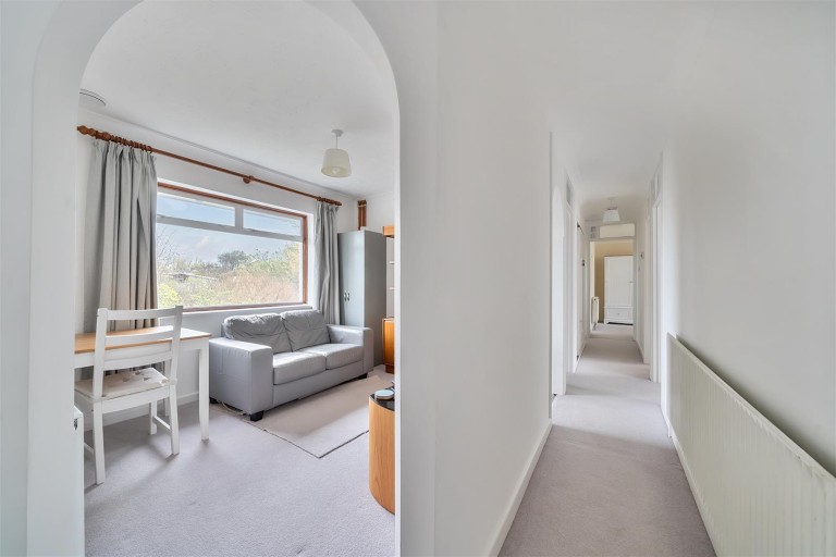 Images for Pityme, Rock