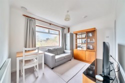 Images for Pityme, Rock