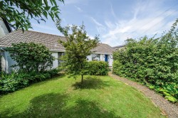 Images for Pityme, Rock