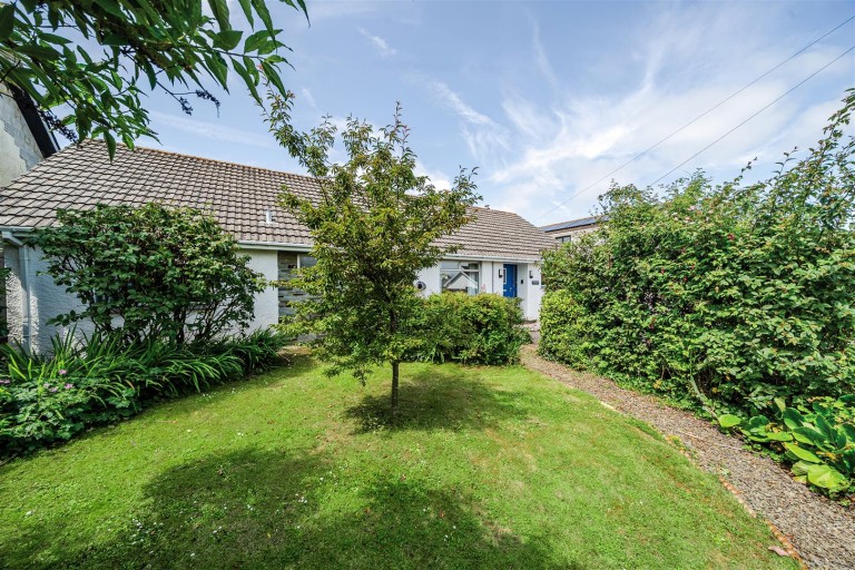 Images for Pityme, Rock