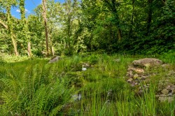 Images for Tamar Valley