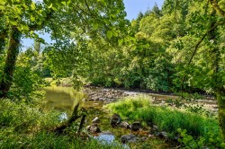 Images for Tamar Valley