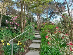 Images for Verriotts Lane, Morcombelake, Bridport