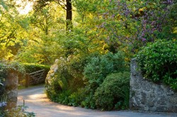 Images for Verriotts Lane, Morcombelake, Bridport