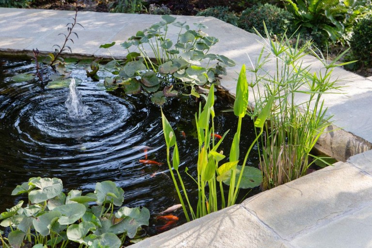 Images for Verriotts Lane, Morcombelake, Bridport