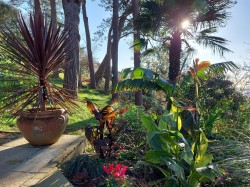 Images for Verriotts Lane, Morcombelake, Bridport