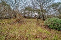 Images for Verriotts Lane, Morcombelake, Bridport