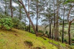 Images for Verriotts Lane, Morcombelake, Bridport