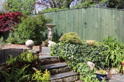 Images for St. Teath