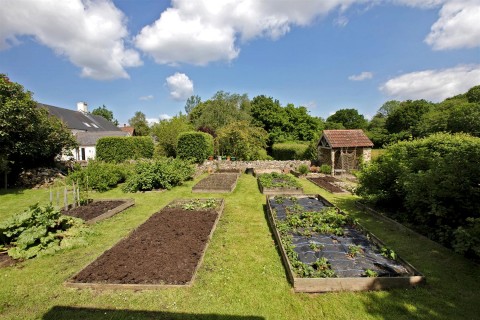 Click the photo for more details of Upottery, Honiton