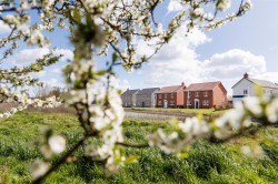 Images for Foundry Lea, Bridport