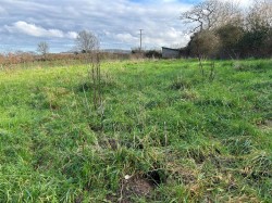 Images for Mosterton, Beaminster