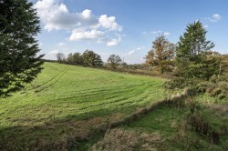 Images for Cowley, Exeter