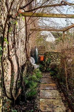 Images for Vale Lane, Axminster