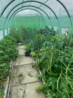 Images for Bearley Cottages,, Bearley Lane, Tintinhull