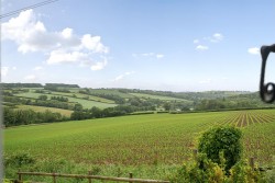 Images for Woodtown, Bideford