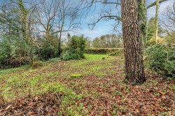 Images for Stockland, Honiton