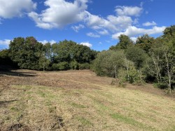 Images for Clayhidon, Cullompton