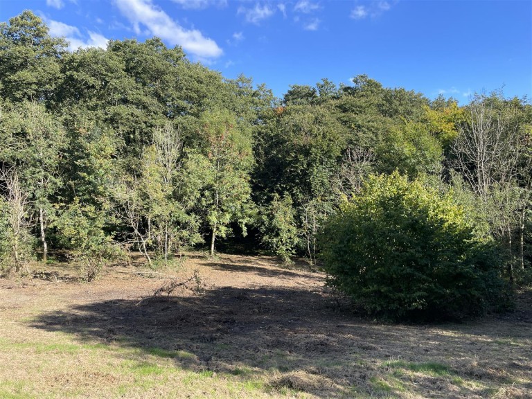 Images for Clayhidon, Cullompton