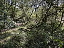 Images for Clayhidon, Cullompton