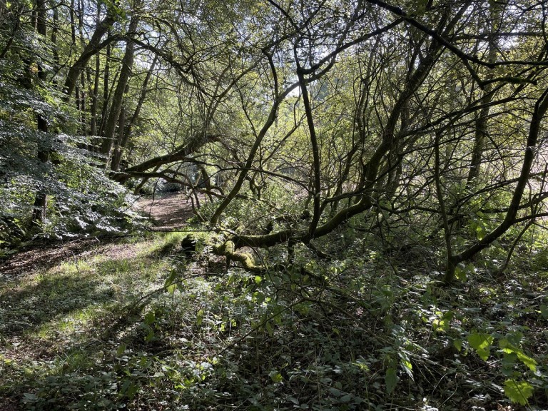 Images for Clayhidon, Cullompton