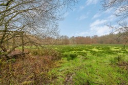 Images for Halwill Junction, Beaworthy