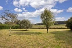 Images for South Brent