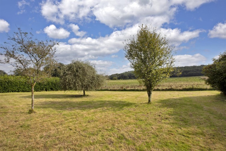 Images for South Brent