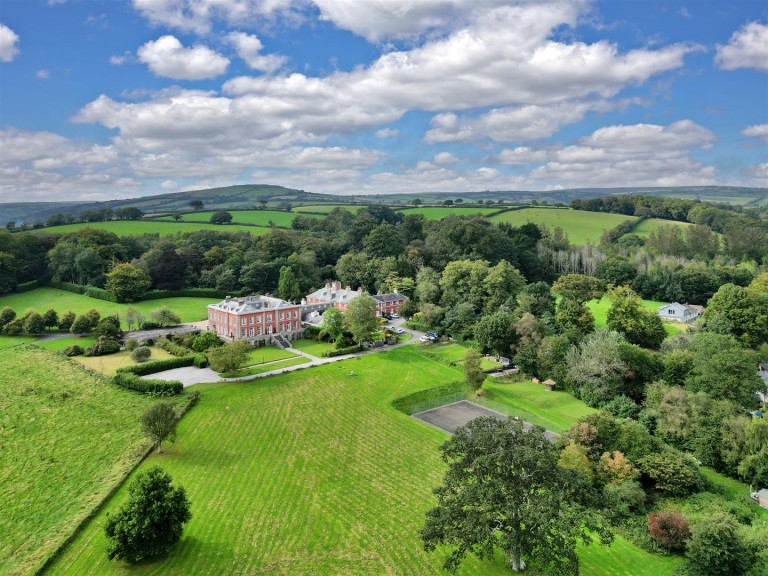 Images for South Brent