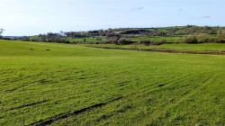 Images for Crewkerne