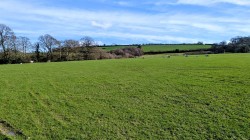 Images for Crewkerne