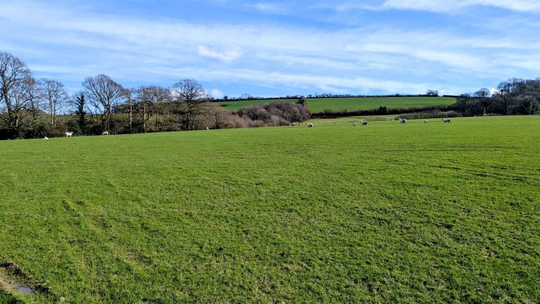 Images for Crewkerne