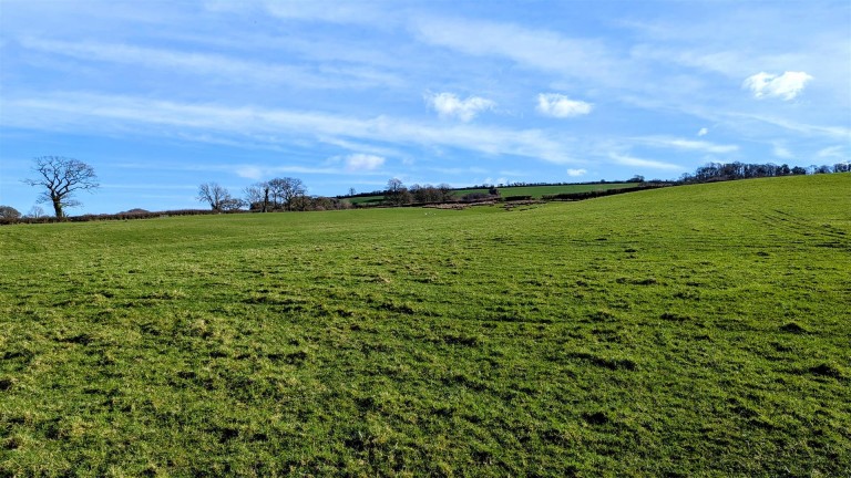 Images for Crewkerne