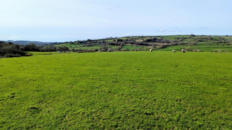 Images for Crewkerne