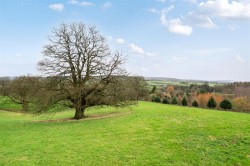 Images for Whiteball, Wellington