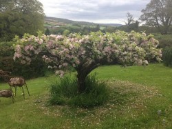 Images for Whiteball, Wellington