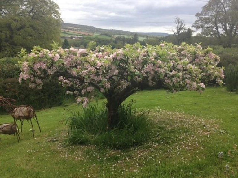 Images for Whiteball, Wellington