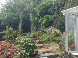 Images for Whiteball, Wellington