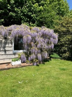 Images for Whiteball, Wellington