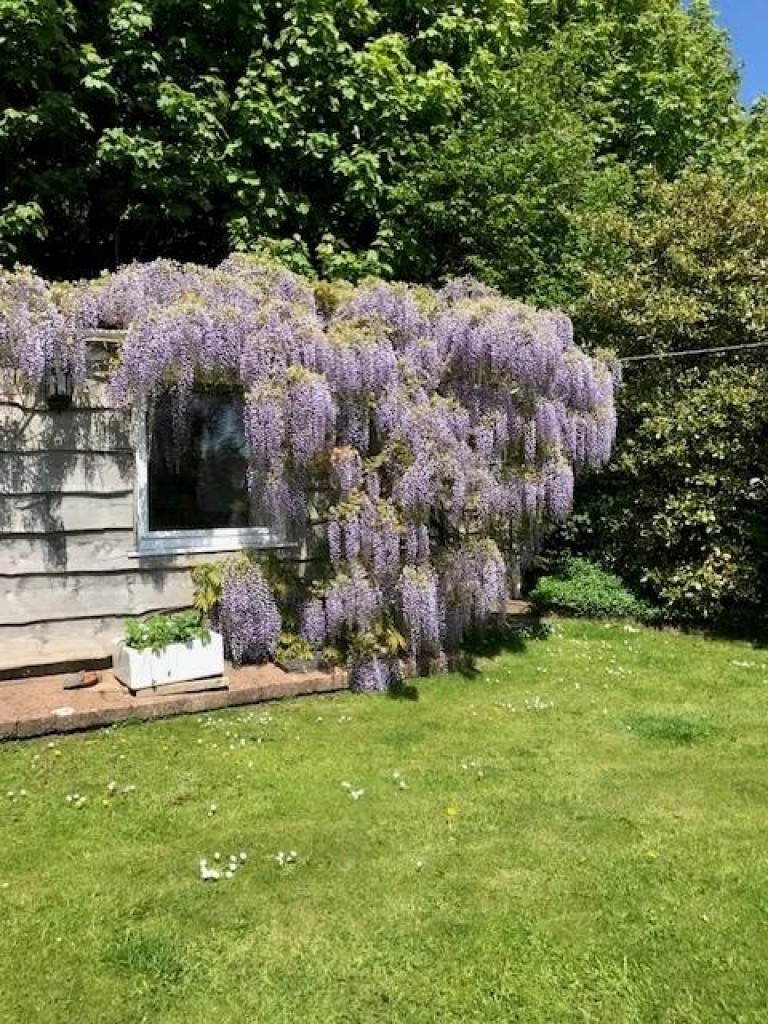 Images for Whiteball, Wellington