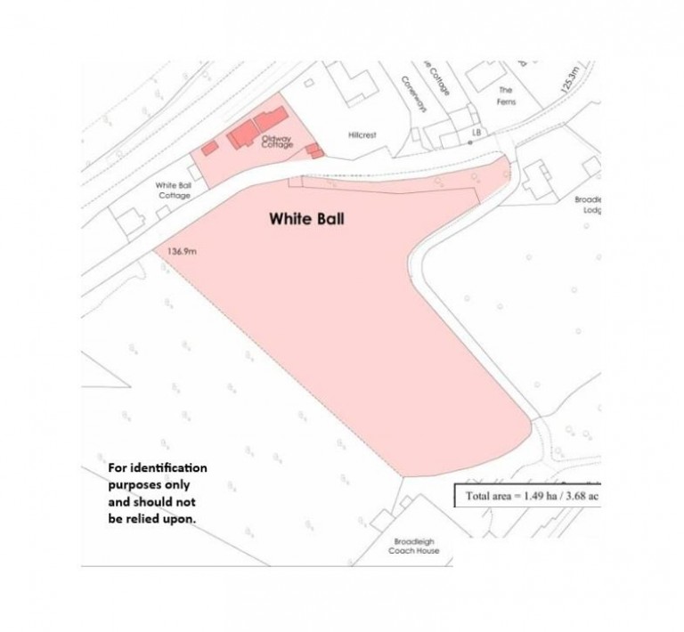 Images for Whiteball, Wellington