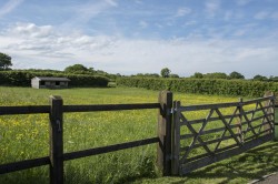 Images for West Hatch, Taunton