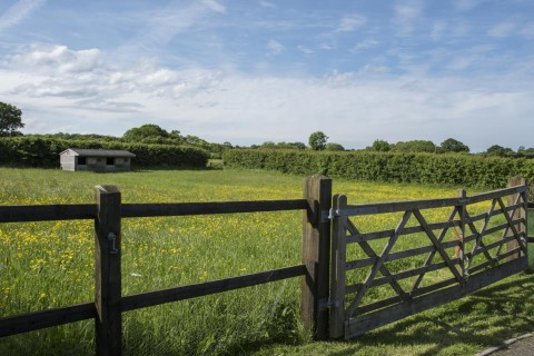 Click the photo for more details of West Hatch, Taunton