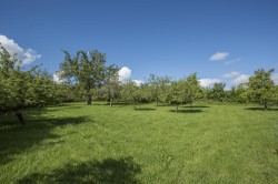 Images for West Hatch, Taunton