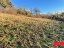 Images for Yelverton