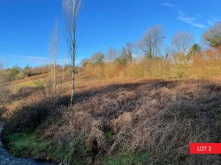 Images for Yelverton